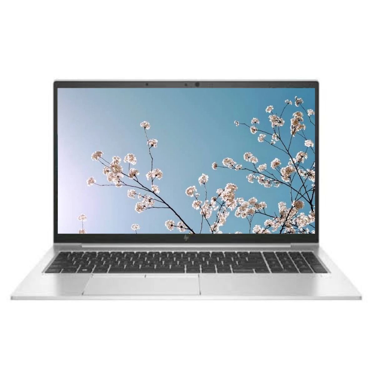 Elitebook 850 G7_cori5_10th_8GB_256GB_15